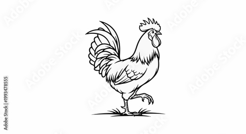 Stylized black and white outline drawing of a rooster standing on grass