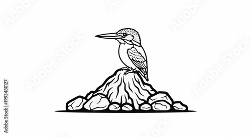 Detailed black and white illustration of a kingfisher bird perched on a rocky outcrop