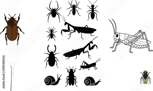 Detailed Insect Collection Cockroach Grasshopper Mantis Spider Snail and Fly Silhouette Vector Illustration Set for Nature Design