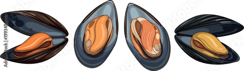 Realistic Mussel Shell Seafood Vector Set with Open Blue Mussels and Fresh Marine Food for Restaurant Menu, Ocean Cuisine, and Coastal Illustration Design