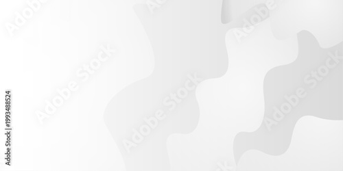 Abstract white background fluid shape pattern business banner design. Wavy white and grey illustration. Abstract paper cut curve line background with shadow. vector presentation background for poster
