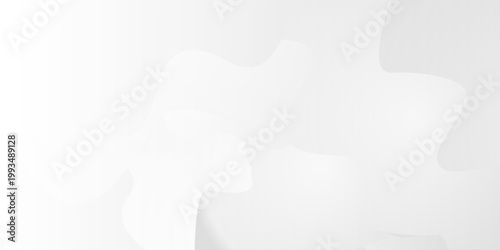 Abstract white background fluid shape pattern business banner design. Wavy white and grey illustration. Abstract paper cut curve line background with shadow. vector presentation background for poster
