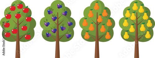 Fruit trees collection with apple, plum, orange and pear trees, colorful orchard plants set isolated on light background, flat vector illustration