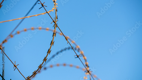 barbed wire against blue