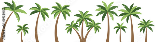 Row of tropical palm trees with curved trunks and green foliage in flat vector illustration isolated on light background for summer beach landscape design