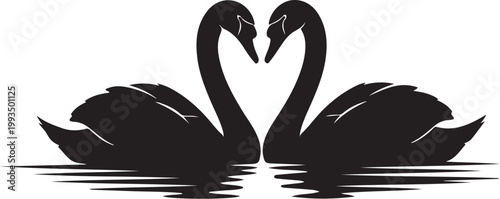 Black swan couple, love birds, heart shape, water silhouettes, romantic illustration, vector icons