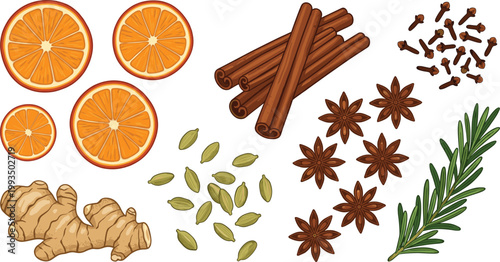 Set of Hand-Drawn Illustrations Featuring Spices and Herbs Including Orange, Cinnamon, Ginger, Cloves, Star Anise, Cardamom, and Rosemary
