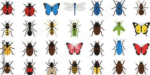 Flat Colorful Insect Collection Ladybug Butterfly Beetle Ant Wasp Dragonfly and Fly Vector Illustration Set for Nature Design