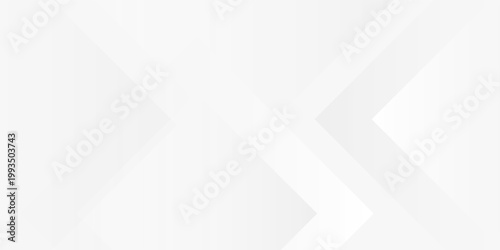 Elegant White Gradient Background with Smooth Waves and Light Shadows