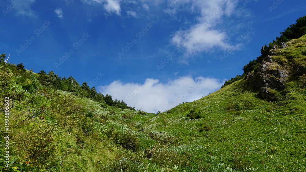 Fototapeta premium Hiking the Volcano: A Summer Ascent of Mount Yakedake, Nagano, Japan