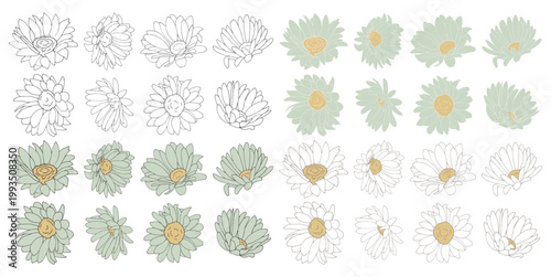 手描きのシンプルな黄緑色の花のイラストセット	