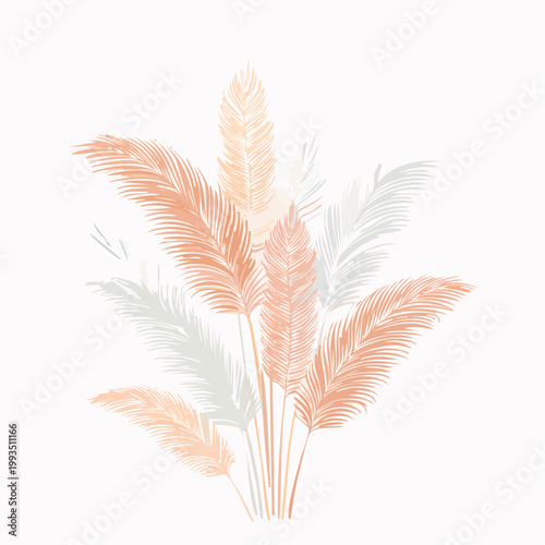 Elegantes Pampasgras