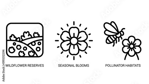 Nature icons: wildflower meadow seasonal blooms bee pollinating flower line art food chain wildflower seasonal pollination illustration environment graphics wildlife ecosystem