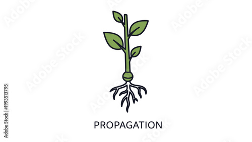 Plant propagation icon showing sprouted seedling with roots propagation seedling gardening agriculture botanical cultivation environment vegetation development planting reproduction