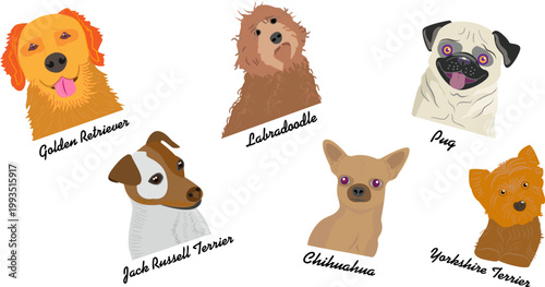 Collection of Cute Popular Dog Breed Portraits with Hand Drawn Cartoon Pet Faces Including Golden Retriever Labradoodle Pug Jack Russell Terrier Chihuahua and Yorkshire Terrier