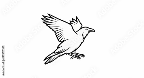 A black and white outline drawing of a bird in flight