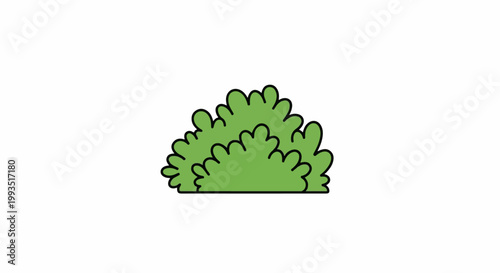 Green leafy shrub with black outline on white background