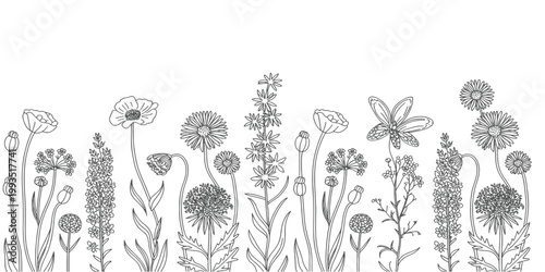 Black Sketch of Flowers Isolated on White Background. Set of flowers vector illustration of a plant .elements including blooming flowers,buds, leaves, stems, and small botanical branches. vectordesign