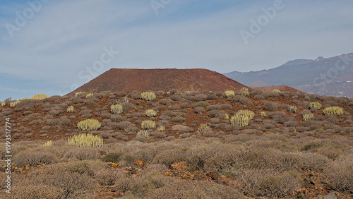 Fotografie volcanic mountain landscape in Malpais de Rasca nature reserve, Tenerife, Canary