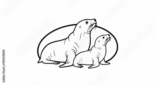 Two seals, parent and child, look upwards from inside a circular frame