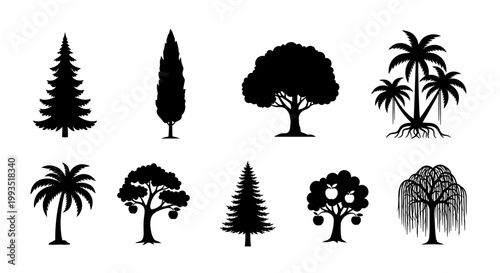 Various Tree Species Silhouettes Set with Pine, Cypress, Oak, Palm, Apple and Weeping Willow Tree Shapes Isolated on White Background Forest Flora Symbols