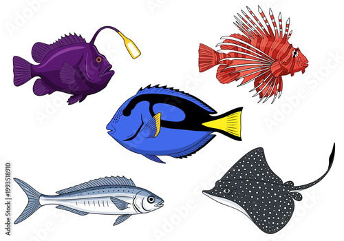 Set of Tropical Sea Fish and Marine Life Vector Illustrations Including Anglerfish Lionfish Blue Tang Mackerel and Spotted Stingray Icons