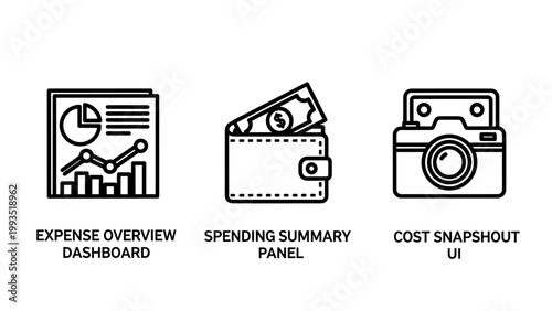 Financial icons: expense overview spending summary cost snapshot with spending tracker overview spending snapshot financial illustration dashboard analytics transaction business accounting