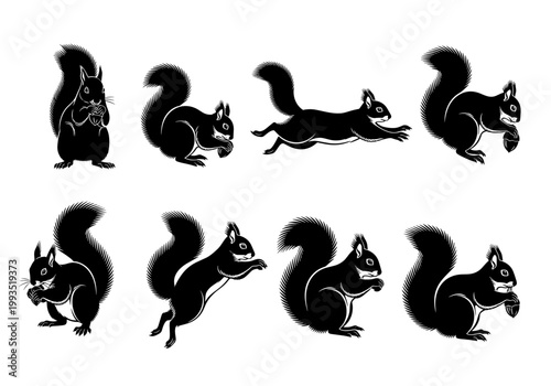 Squirrel Silhouette Vector Illustration Set, Squirrels in Different Poses Like Sitting Running and Jumping with Nut, Forest Wildlife Animals Collection
