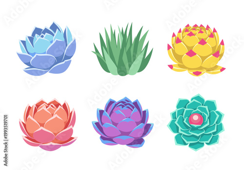 Beautiful Colorful Succulent Plants Collection Set with Various Echeveria and Agave Species Vector Illustrations for Interior Decor and Botanical Graphics