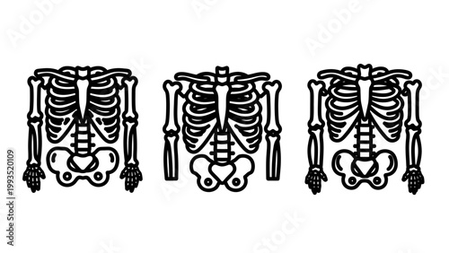 Anatomical human skeleton rib cage set illustrating medical structure and bone anatomy with skeleton structure illustration clinical healthcare skeletal education research scientific thoracic