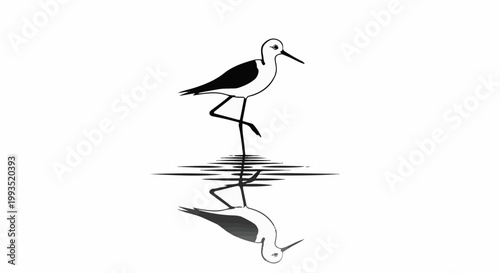 Stylized black and white illustration of a wading bird with one leg raised, reflected in water