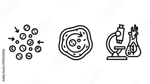 Scientific biology icons set including cell division and laboratory equipment with microscope laboratory research experiment scienceicons microbiology division chemistry scientific education