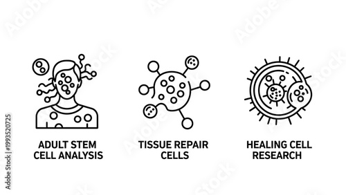 Stem cell research and tissue engineering science icon set with research genetics analysis biotechnology medicine laboratory experiment clinical microbiology healthcare regeneration