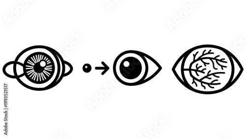 Human eye anatomy evolution and ocular health icons set with eye care evolution ophthalmology pupilustration visionary structure healthcare perception medicine physiology clinical research