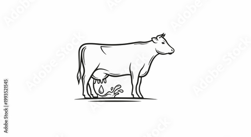 Black and white outline drawing of a cow with milk splashing from its udder