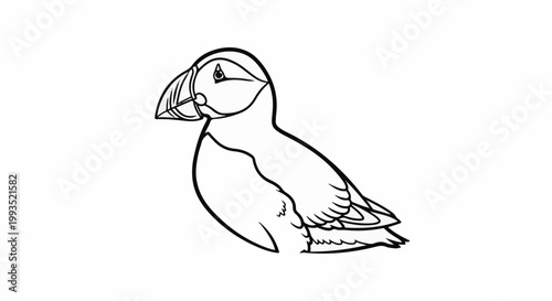 Detailed line art drawing of a puffin with a distinctive beak