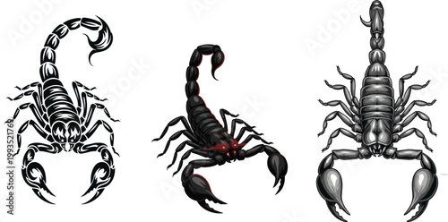Scorpion Vector Illustration Set Featuring Detailed Black and Red Scorpion Designs in Different Angles for Wildlife, Tattoo, Danger Symbol, and Nature Graphics