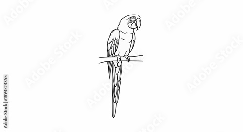 Detailed line art of a tropical parrot perched on a branch