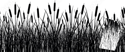 Cattail Reed Grass Silhouette Border Vector with Marsh Plants and Dense Wetland Vegetation for Nature Backgrounds, Landscape Design, and Ecology Illustrations