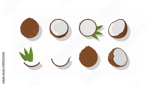 Coconut fruit vector set with tropical elements isolated on white background flat design collection