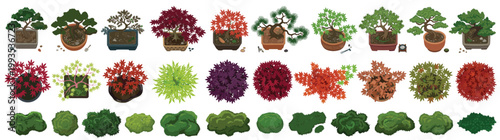 Flat Vector Architecture Plan View Icon Set Collection Isolated on White: Diverse Potted Bonsai Trees with Flowering Shrubs and Green Garden Bushes for Home Landscape Mapping or Site Planning