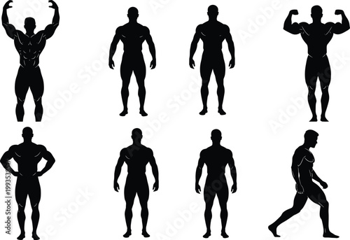 Bodybuilder silhouettes set muscular male poses fitness strength anatomy athletic physique isolated vector collection