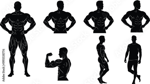 Muscular male body silhouettes set bodybuilding poses fitness anatomy strength isolated vector illustration collection design