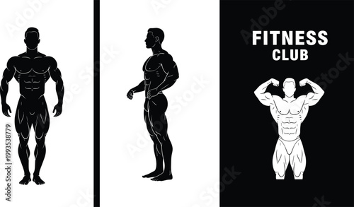 Muscular male silhouette fitness club logo bodybuilding poses strength training anatomy vector illustration concept