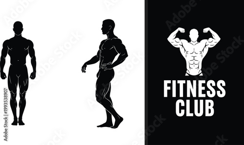 Muscular male silhouettes fitness club logo bodybuilding poses strength training anatomy vector illustration design