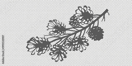 Delicate floral branch silhouette against a transparent background