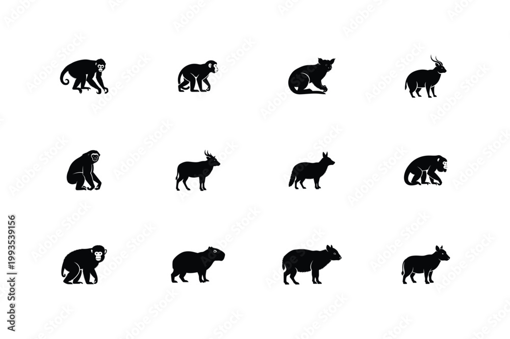 Obraz premium Animal silhouette collection set 21 black wildlife vector