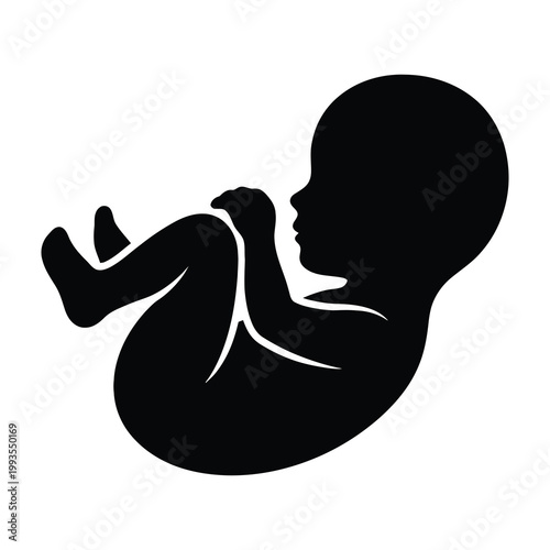 Black silhouette of a fetus in womb