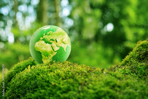 Ein gesunder Wald in einer grünen Welt. Eine grüne gesunde Erde als Kugel im Moos