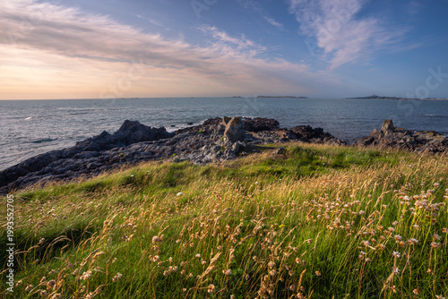 Golden coastal meadow at sunset with ocean view and warm light on Guernsey island.
